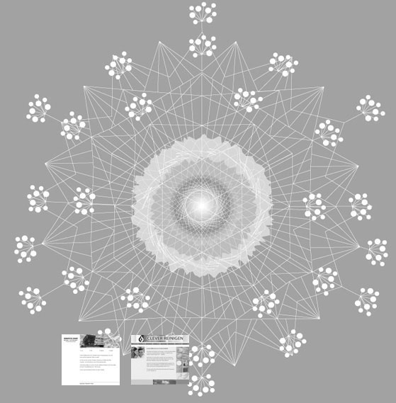 Zeichnung nach Haeckel